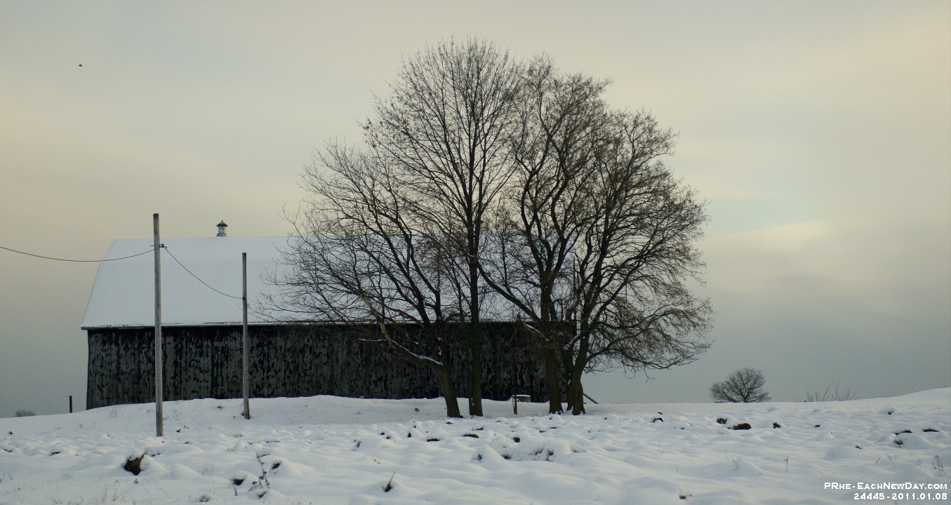 24445CrLeSh - To EB Games, Whitby, with Daniel